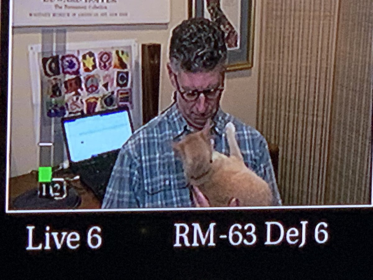 ktladeb's tweet photo. Daily dose of #catlove from @Davidlaz #KTLA #Jupiterthecat https://t.co/Io4hy6ilLi