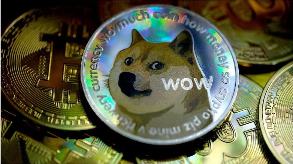 Buy_and_Hold's tweet photo. I just like doges https://t.co/3HcNvfvO0p