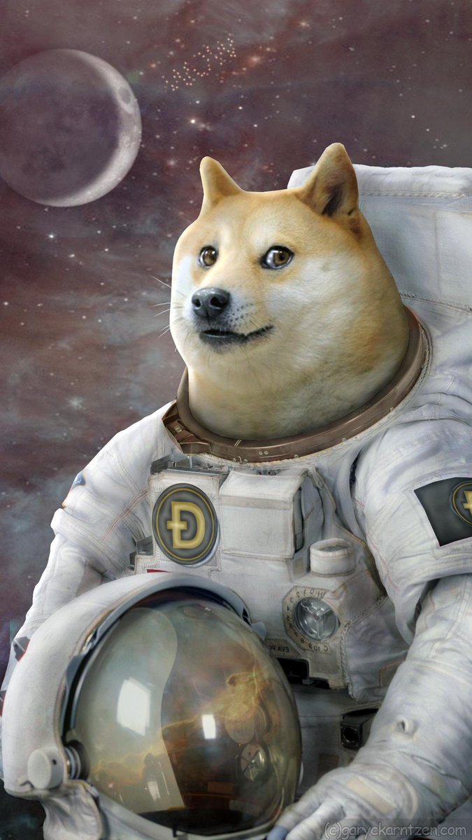 safyegypt's tweet image. Dogecoin to mooon #tesla #specx