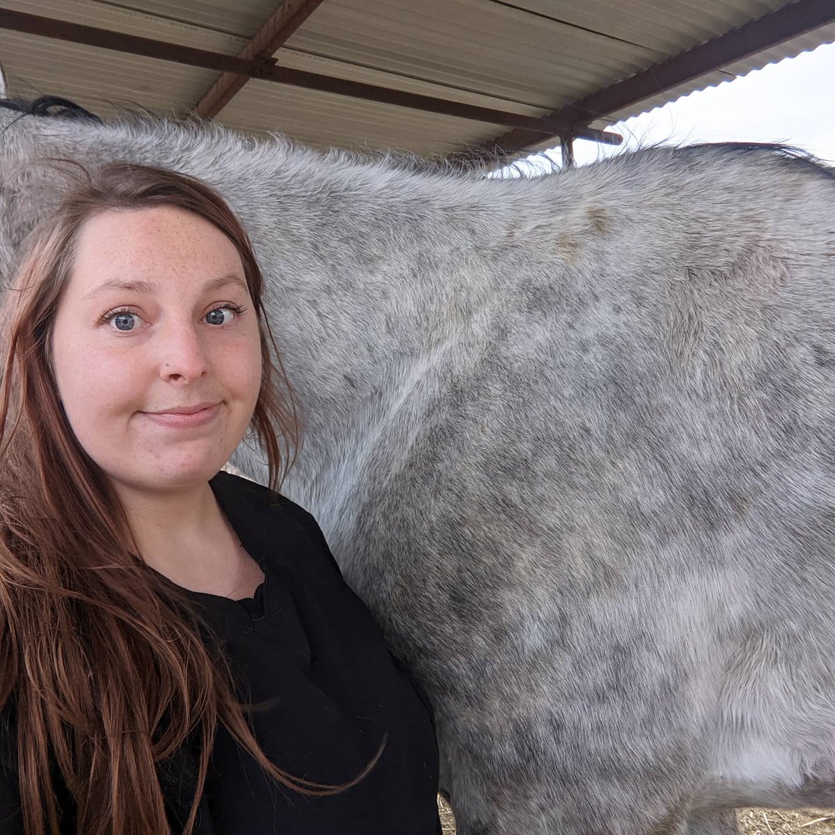 13kimwin's tweet photo. 🤡: your horse isn't that big
I'm 5'7 https://t.co/OkICn4JBaU