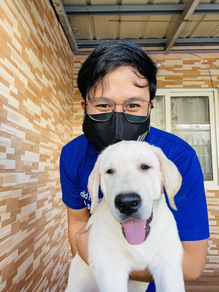thejrramos's tweet photo. Hello big boy! 🐶😍 https://t.co/zU8rxbCBBn