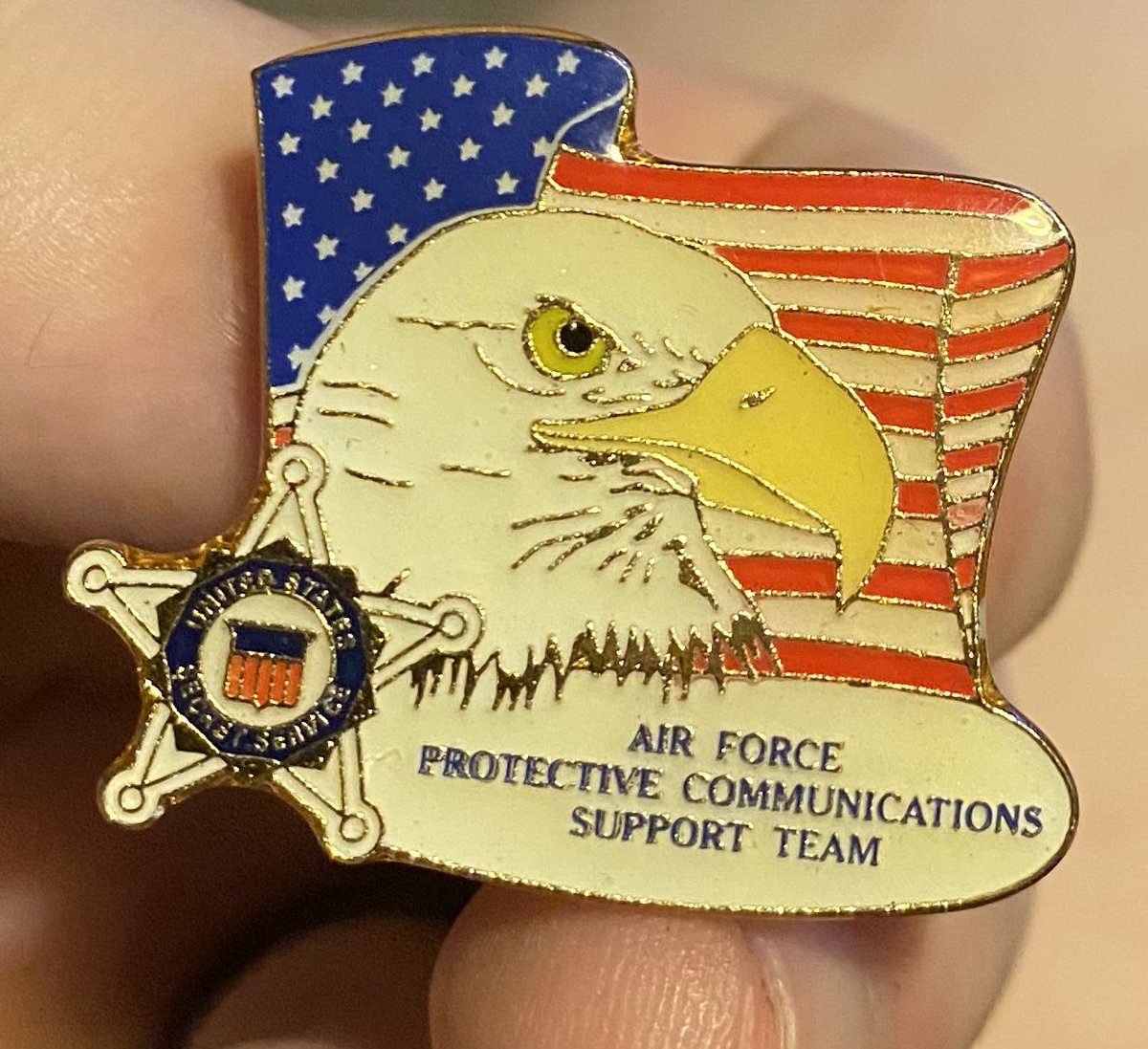 speaking of the Air Force, eagle