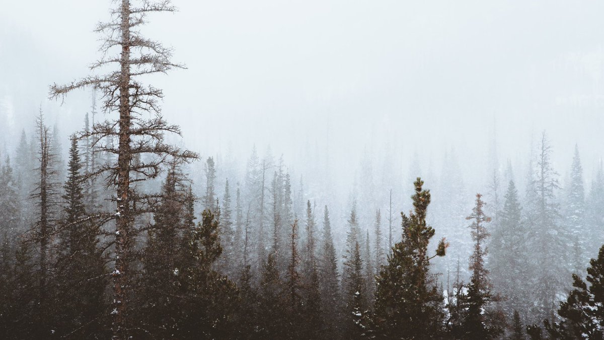 inthemeadow's tweet photo. we’re never getting out of here https://t.co/w6u2mwgVNC