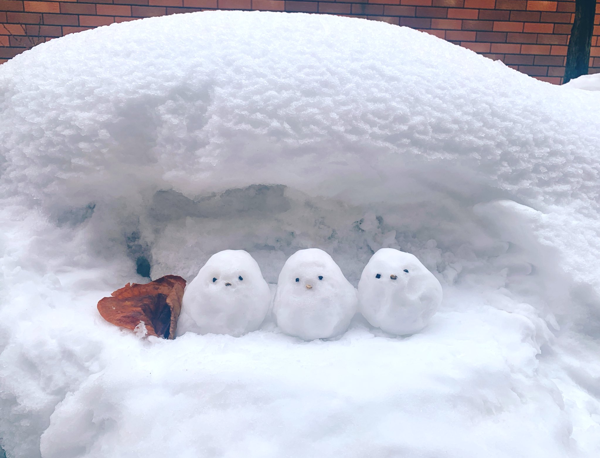 ◆オーダー用◆ダイカット 冬 雪だるま シマエナガ クマ ペンギン 雪うさぎ コウペンちゃん クリスマスな雪だるまぬいぐるみM（邪エナガさん