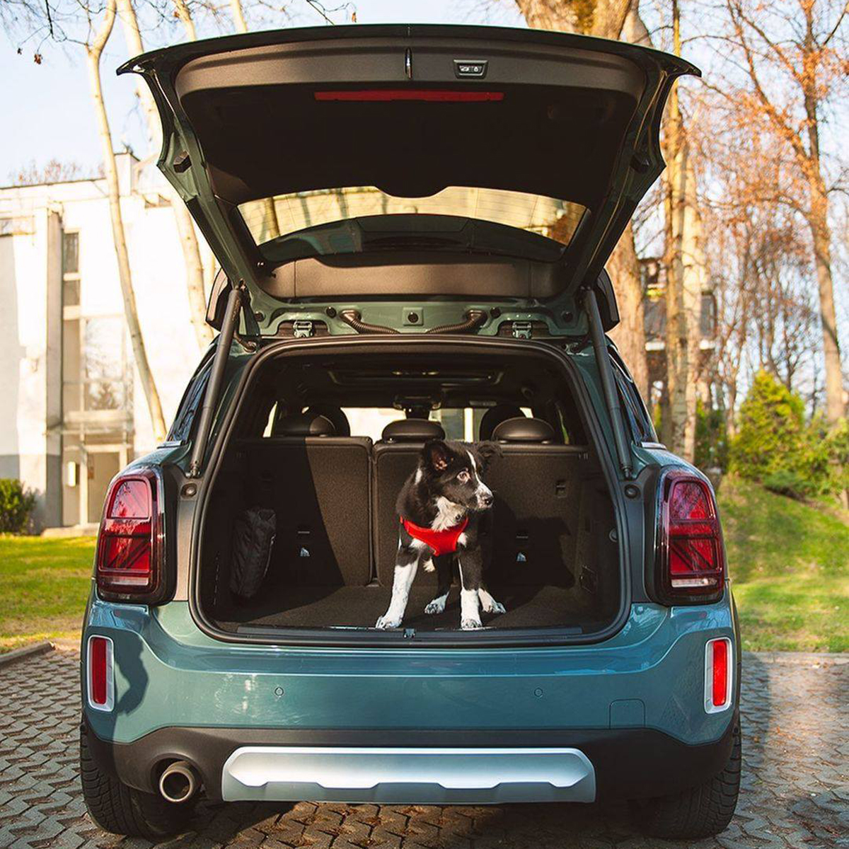 Every seat is popular in the #MINI #Countryman #ALL4