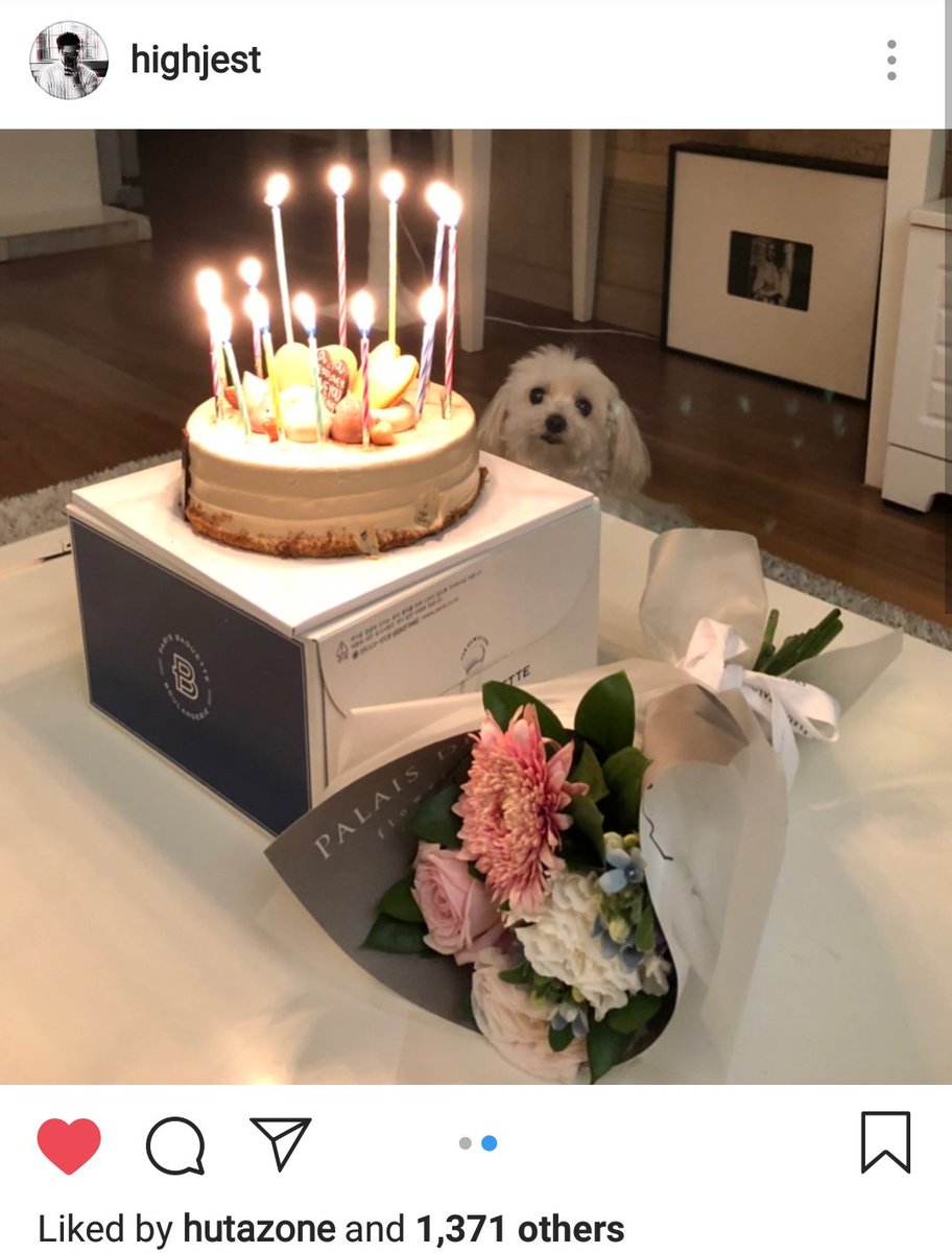 By the age of 15/16, Minhyuk got a pet dog named Hamo. She was cute and pretty! Both of Minhyuk and his brother love to post her picts and videos a lot. 