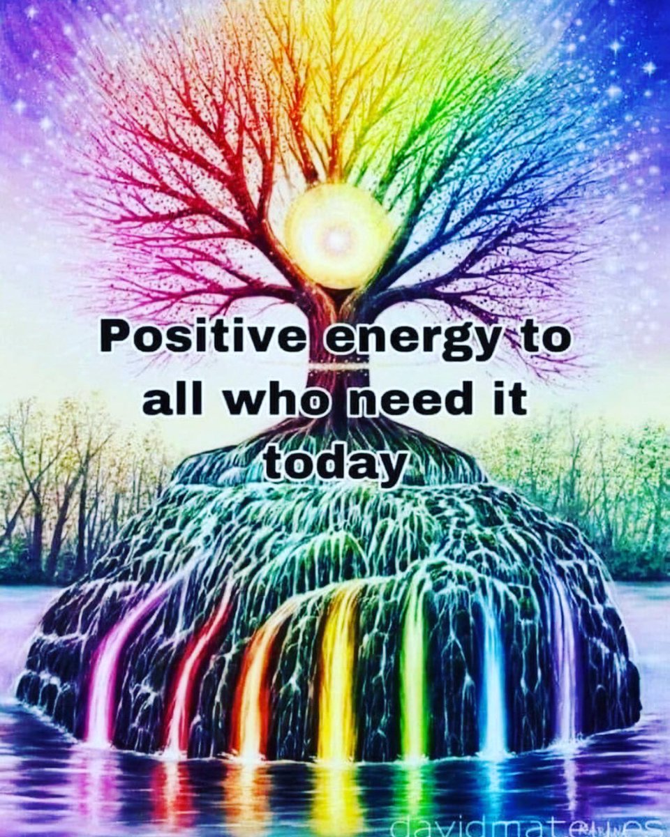 Social Media Experts tweet media