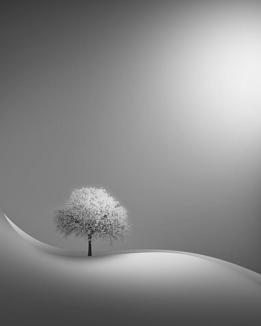 BebuCesco's tweet photo. Listen to the silence inside the illusion of the world...

~ Jack Kerouac

____
© Iman Tehranian
     © Kathrin Federer https://t.co/Adn5hzuoWv