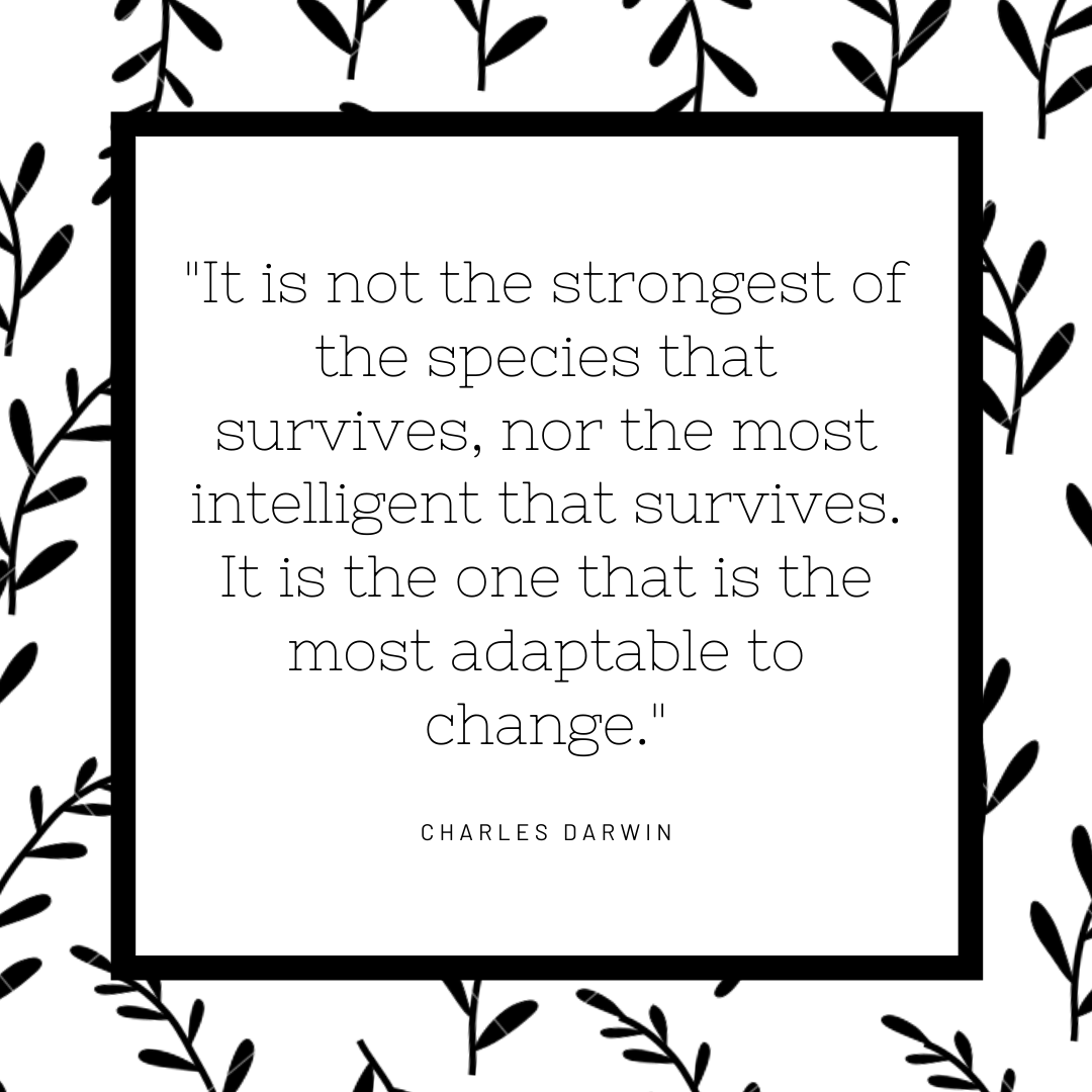 The only thing constant about life is change.

#coworkation#worklifebalance#entrepreneurs#digitalnomad#travel#tourism