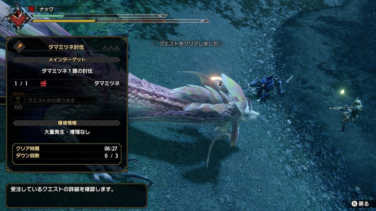 ナック エリチェン阻止はエリアチェンジしそうになったタイミングで操竜を狙うと良いかと