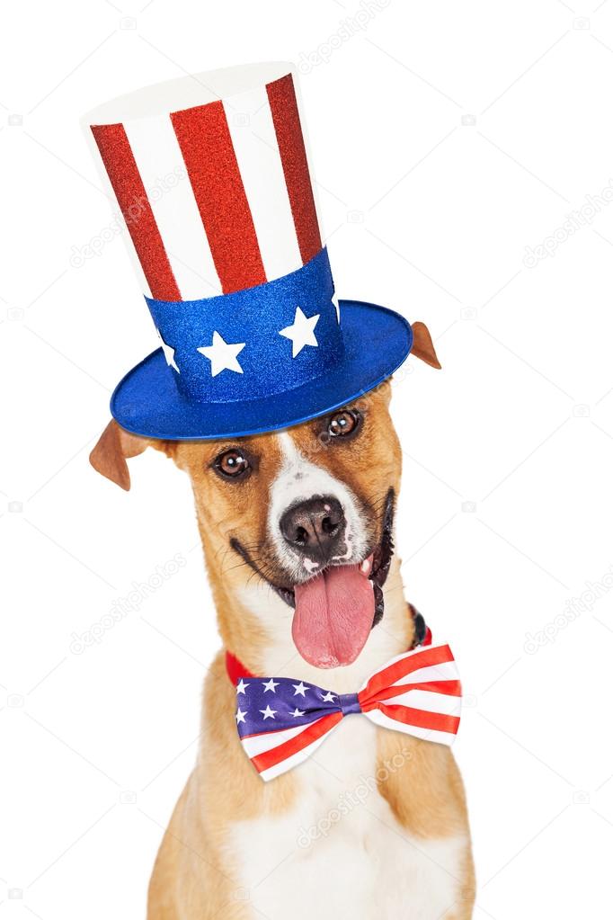 7/10 | Mary Ann Glendon, Rights Talk (1991)