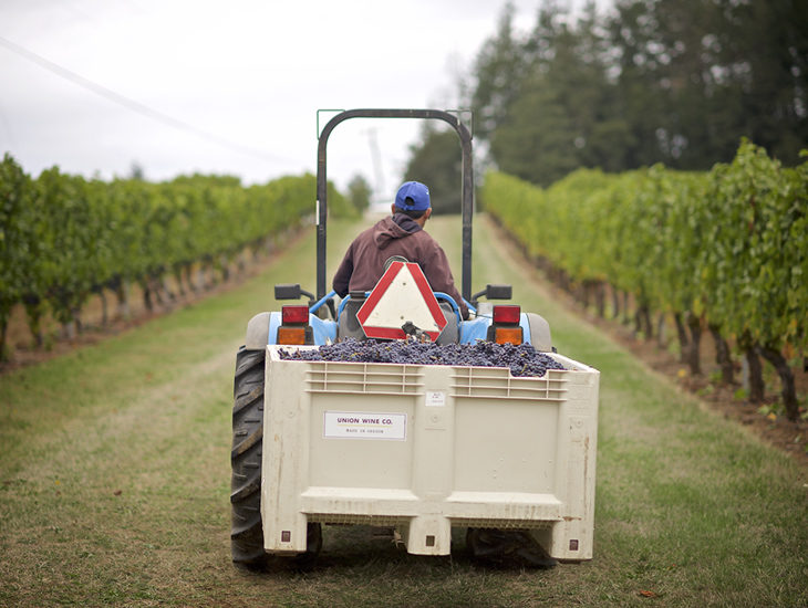 vintrace tweet media