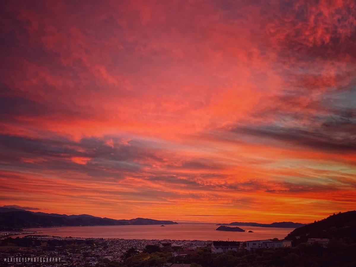 NZLainey's tweet photo. ... and then in the next instant ... magic! โค๏ธ
#huttvalley #wellylive https://t.co/8ZlPOXNxJX