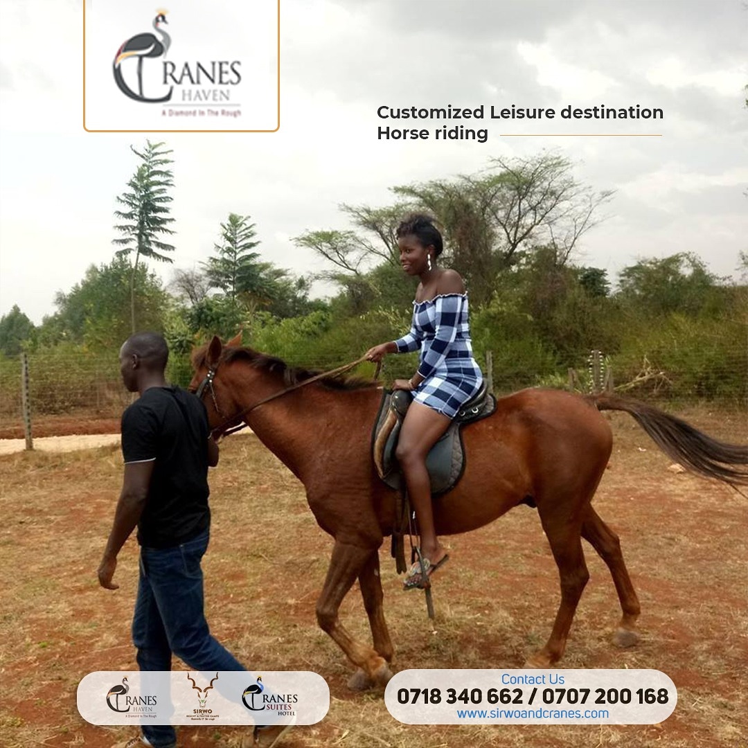 Enjoy unique moments with your loved ones and amazing activities. Horse Riding | Swimming | Bike Riding | Archery | Nyama Choma | Pizza CALL 0707 200 168 | 0718 340 662 #CranesHaven #NyamaChomaParadise #Archery #HorseRiding #TeamBuilding #WeekendGateway