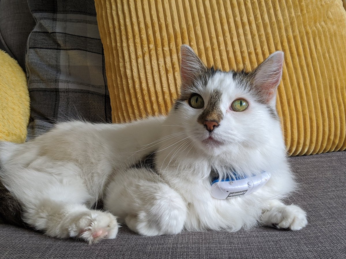 But he kept coming back, and we noticed he was a little bit obsessed by Rudi. And let's be honest, who can blame him - he's a handsome chap.