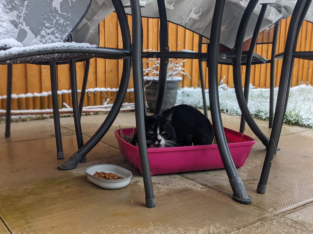 My girlfriend decided to get some bits together and built Boris a den on our patio and we woke up every morning to find him in there, he had his biscuits and a place to sleep. But Salford climate, like the infamous weather of nearby town Manchester, is terrible.