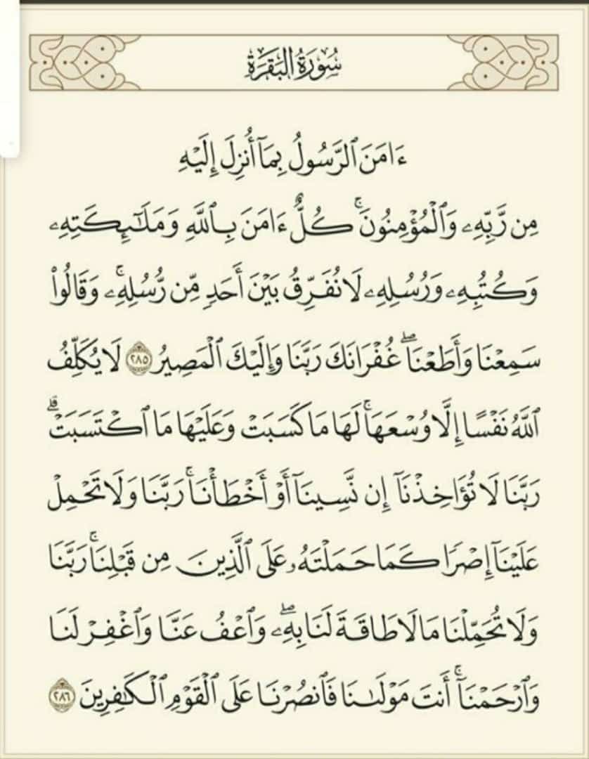 راجح بن جبر بن عبيدان (@asd119503) on Twitter photo 