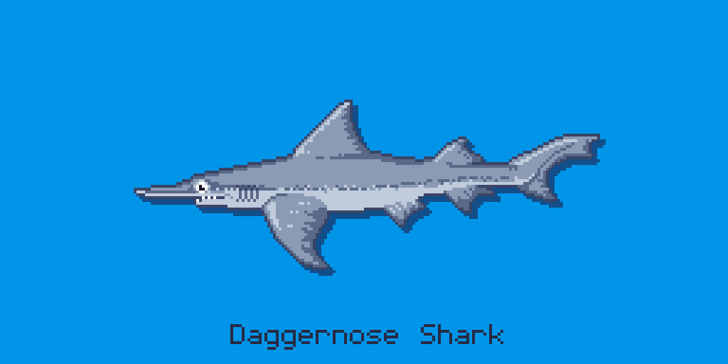 ShakaAdim's tweet photo. #daggernoseshark #shark #shakadim #pixelart https://t.co/TA2STjuCxK