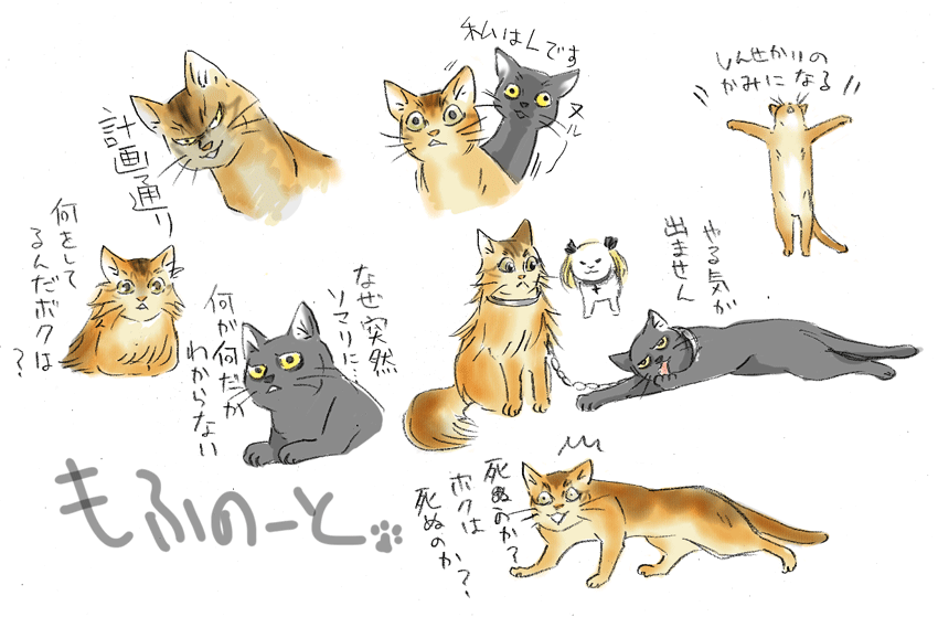 うろおぼえデスノート(ねこ) 