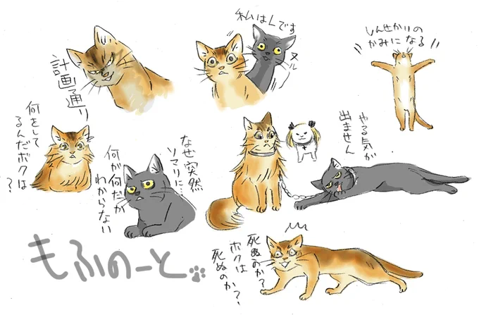 うろおぼえデスノート(ねこ) 