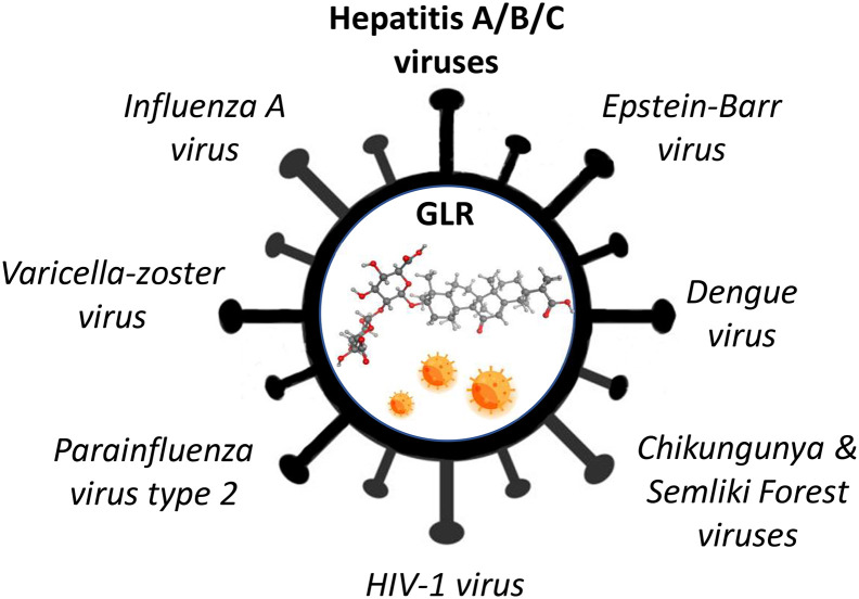 27/: Bailly and Vergroten (2020) state that the glycyrrhizic acid, a triterpenoid saponin mainly isolated from licorice, is a non-hemolytic saponin and a potent immuno-active anti-inflammatory agent and should be considered to treat  #COVID-patients. https://www.ncbi.nlm.nih.gov/pmc/articles/PMC7311916/