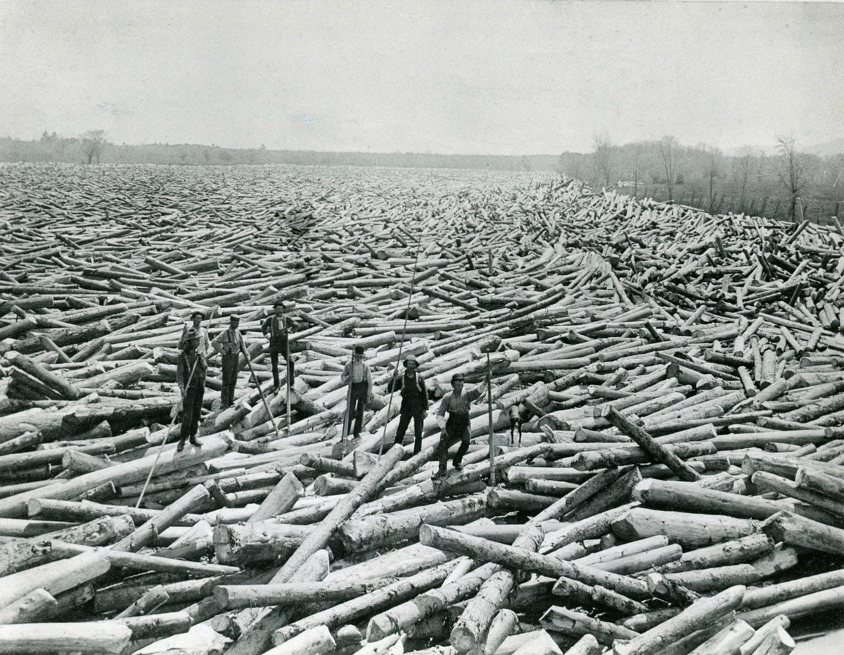 This image is remarkable.

Logging drivers near Glens Falls, New York, on the Hudson River. Circa 1890s.