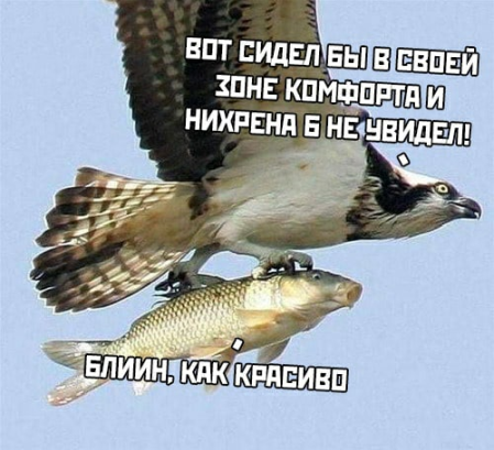 Ужасные мемы tweet media
