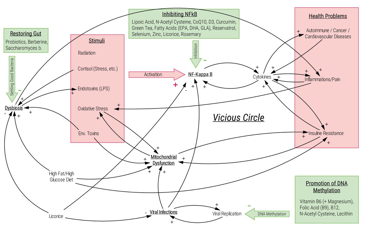 28/: My following scheme for followers with advanced background  #knowledge shows licorice and many other addressed vitamins and nutrients in the context of  #viral infections and general health problems. Keep in mind that our immune system is quite complex and requires care.