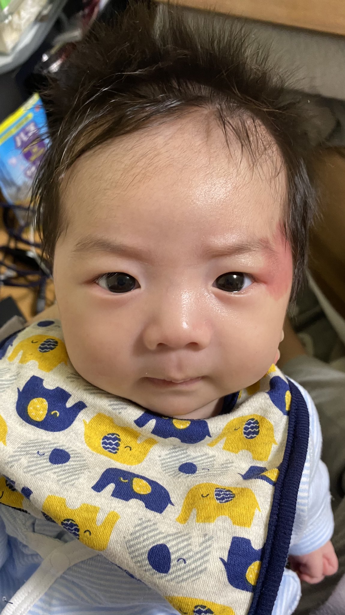 はせねぎ 生後1ヶ月の顔にしてはイケメン過ぎる T Co Awz9tfbyrj Twitter はせねぎ 生後1ヶ月の顔にしてはイケメン過ぎる T Co Awz9tfbyrj Twitter