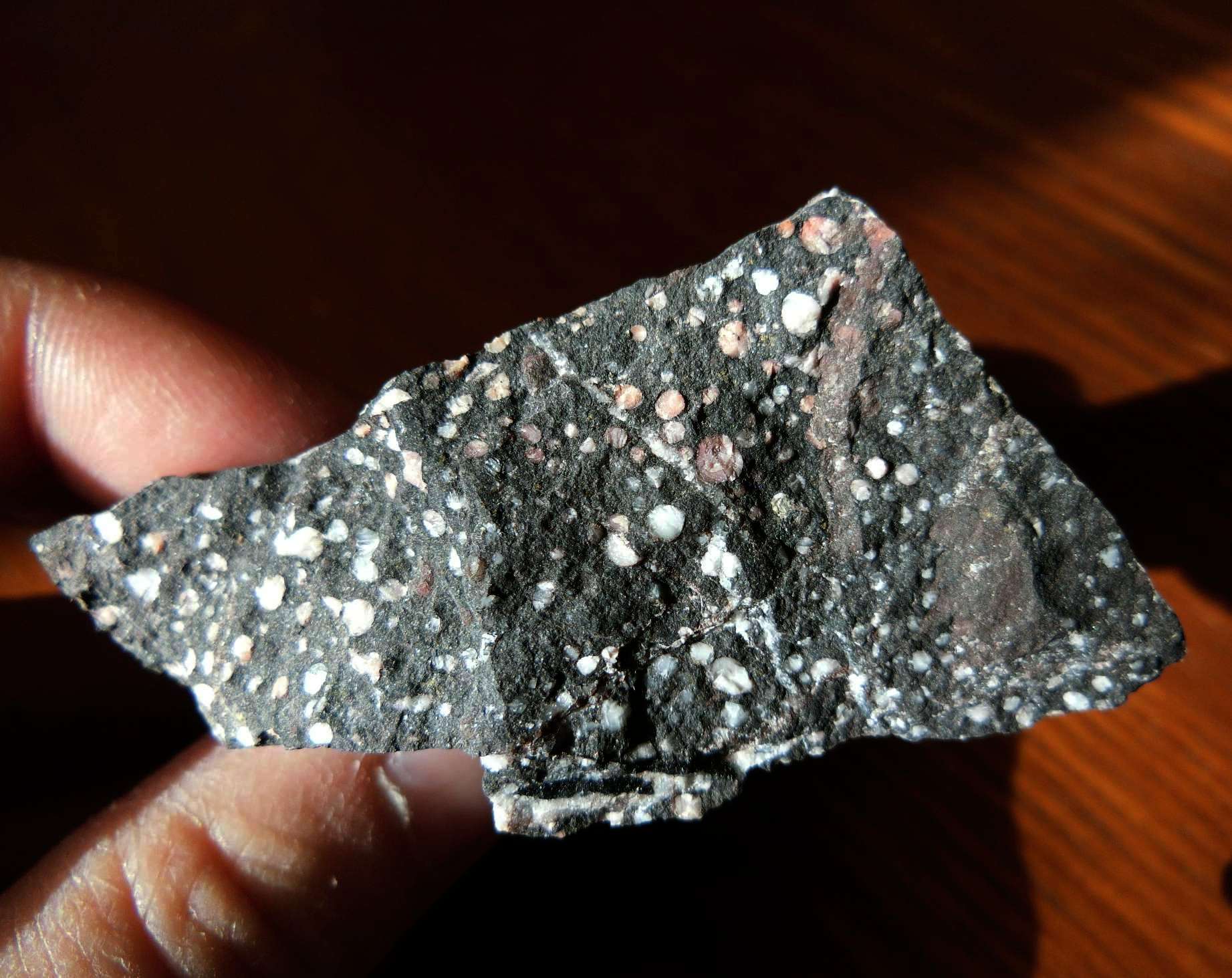 梅花石 天然石 水石 黒色 2025年最新】Yahoo!オークション -門司梅花石の中古品・新品・未