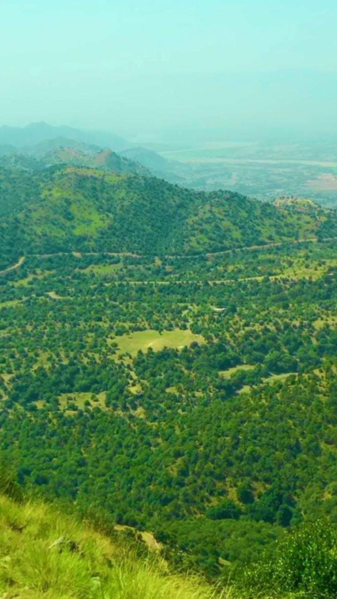 mohmand786's tweet photo. South #Waziristan's beautifil "Nano" cricket ground with zero government funding/support. Source: Muhammad Bilal Mehsud. https://t.co/7gCBIV4Ega