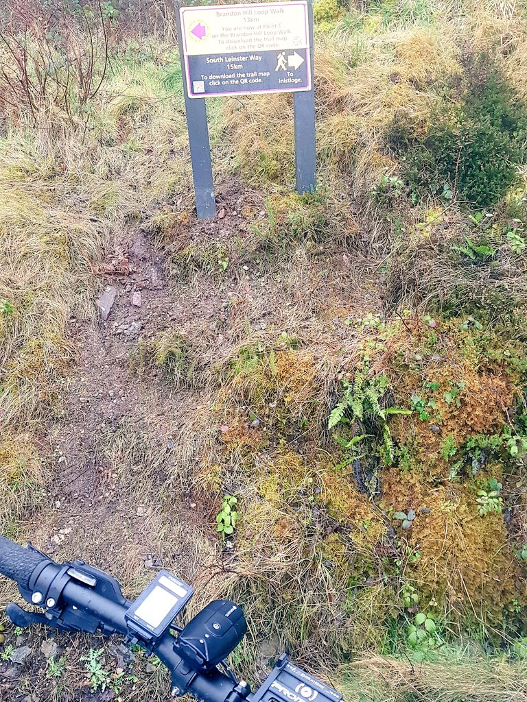 dkelly_11's tweet photo. Morning spin on the Brandon Hill Loop @brandoncamping Great to see signage up from @KilkennyNotices @ChapCleere Fantastic amenity to have #within5k for walkers and cyclists 🌲🌲🚴♂️🚴♂️ @ancienteastIRL @TourismIreland @LoveKilkenny @deric_tv https://t.co/UkuwJUSHzK