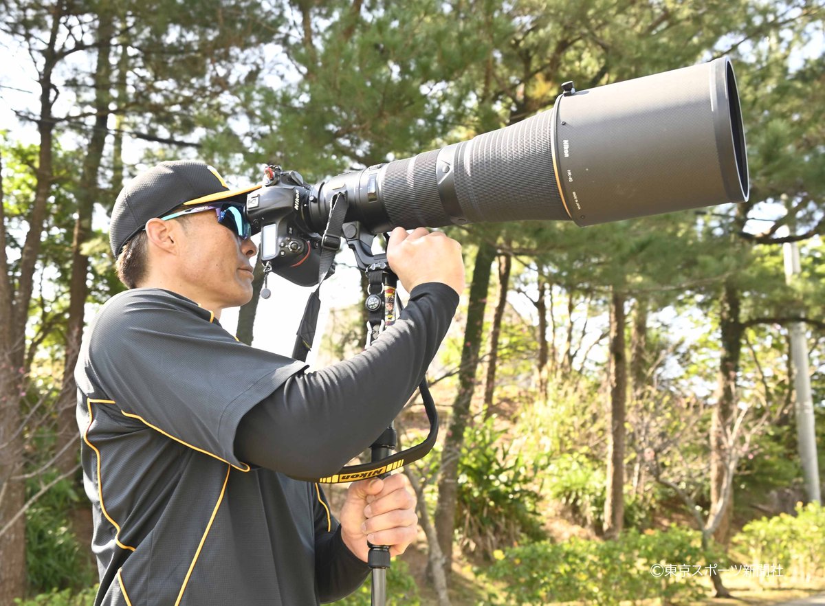 東スポ写真部 プロ野球 ２０２１年２月６日 ６００ミリレンズを構える 糸井嘉男 カメラマン T Co B46knbifnc Tigers 阪神 タイガース