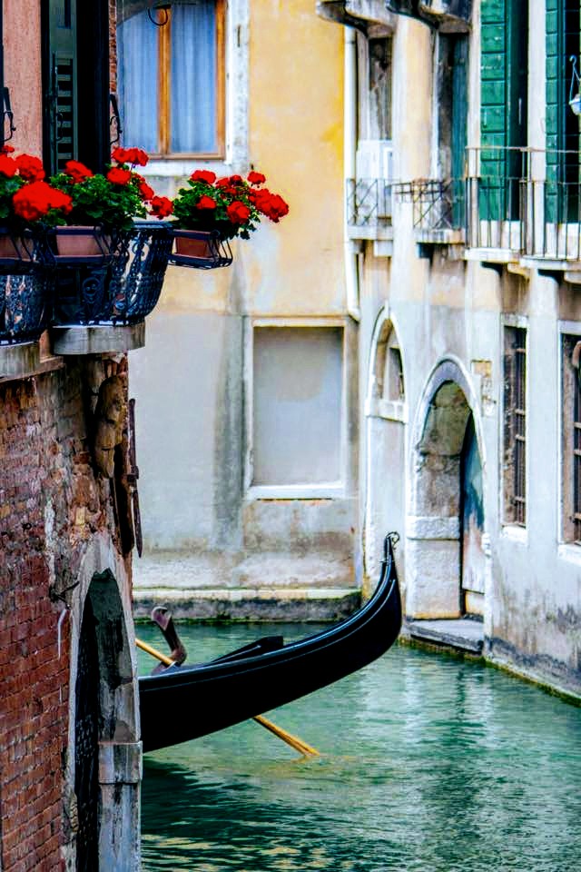 ele9061's tweet image. For you 🌹💞💞💞