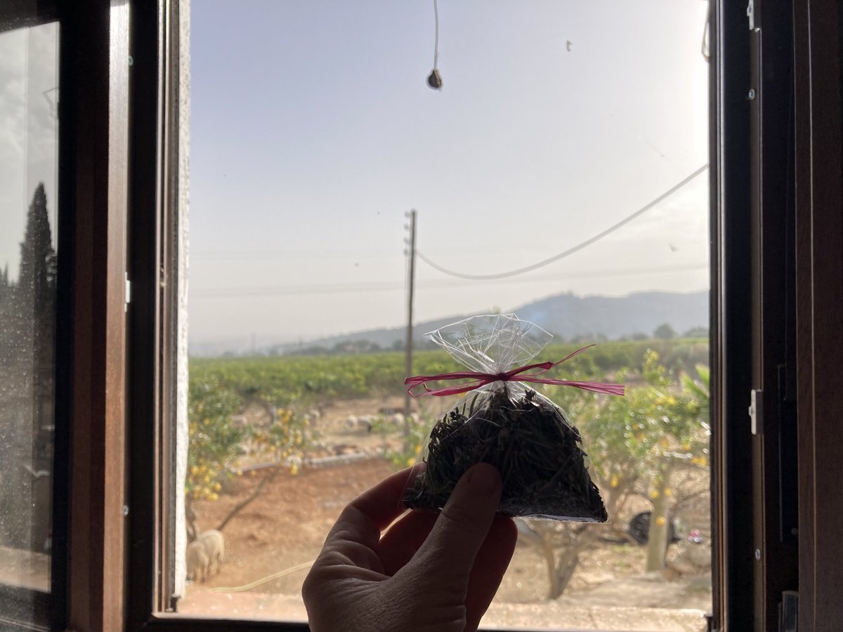 Eco Bosc de Miralles tweet media