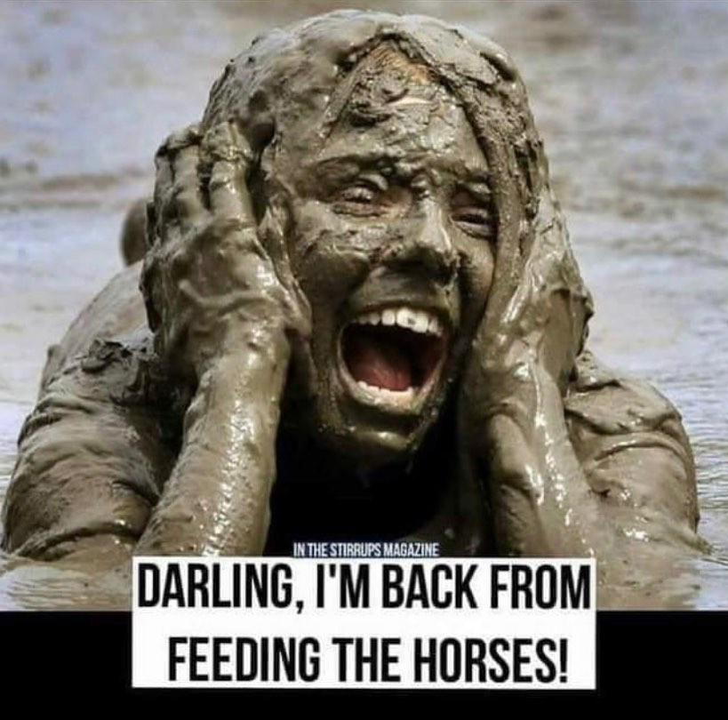 PaddockBlade's tweet image. Feel for anyone dealing with mud😝

📸@allthingsequestrian93 

#Paddockblade #allthingsequestrian93 #equestrianofinstagram #equestrianlife #pony #equestrianblog #equine #photooftheday #love #instagood #horse #horseofinstagram #equestrian #horseriding #dressage #showjumping
