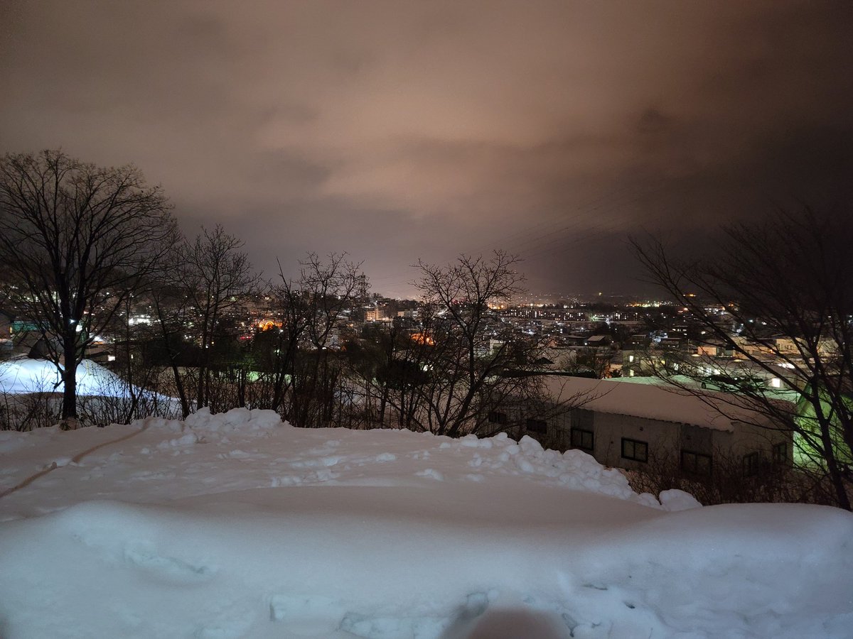 Eri 今日のお散歩を夜景と一緒にお届けです 暖かくて良い一日でした 明日も晴れると良いですね