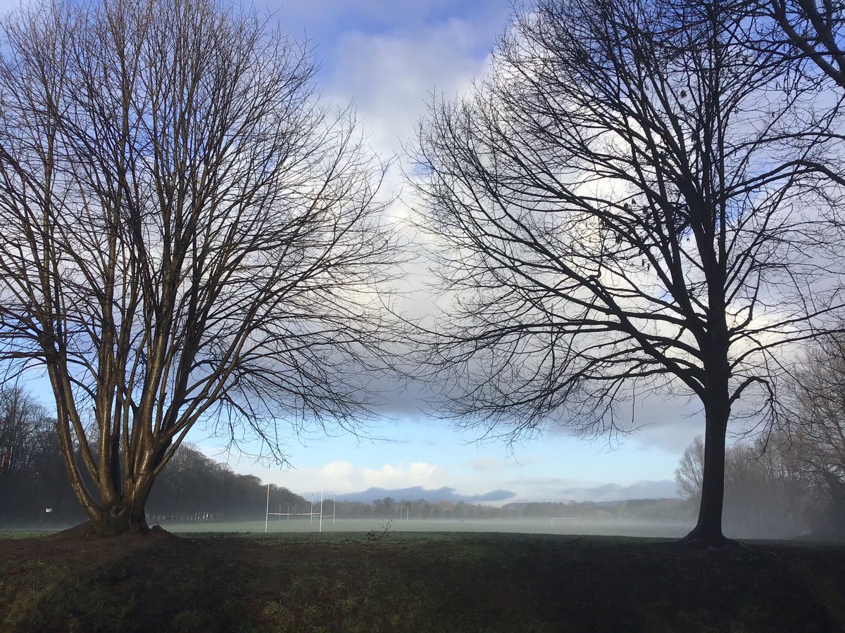 nspugh's tweet photo. Iβve been doing a daily walk, the same one, clockwise, anti clockwise, different times of the day, just to spice it up a bit! π
The light and weather paints a different picture , trees a great vital, natural frame. #treesclosetome #lockdown #Cardiff https://t.co/LTvKnDEZA7