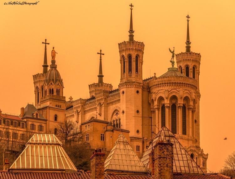 OnlyLyon's tweet photo. 🟠 Quelques clichés de la visite du Sahara en région lyonnaise...

Merci aux photographes 👏
📸 @StphaneNinO 
📸 Stéphanie Bozenko
📸 Kévin Thinet

#Lyon #ONLYLYON https://t.co/Z6ViNoFnvD