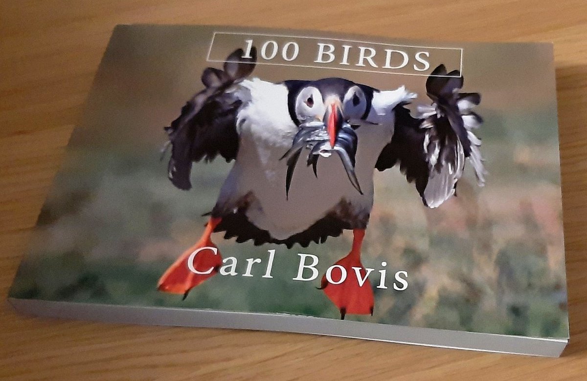 CarlBovisNature's tweet image. I've got another signed copy of my book to giveaway this weekend! 😀
    To have a chance of winning, you must do ALL of the following;

1. Retweet this tweet
2. Name this Robin! 🤔
3. Include the hashtag #100BirdsBook in your reply.

That's it! 😀
carlbovis.com/product-page/1… 🐦
