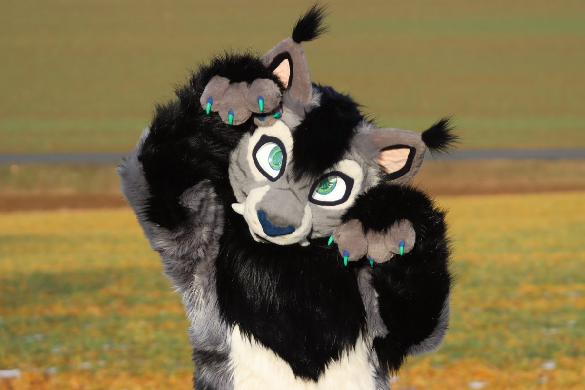 Whoop!(1/?)Hi, yes. This is one of my own suits - just like my others: it's really, really cute. I know that and I really appreciate people telling my because it shows me that they like my work.But!*In no way does this mean I appreciate inappropriate behavior of any kind.