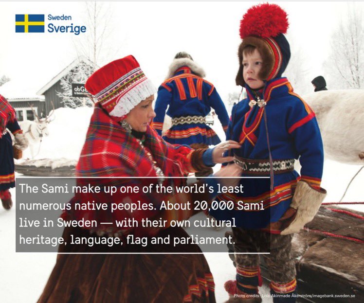 Финны саамы карелы. Обычаи саамов. Саамы оленеводы. Жилище саамов кольского полуострова. 6 февраля международный день саамов.