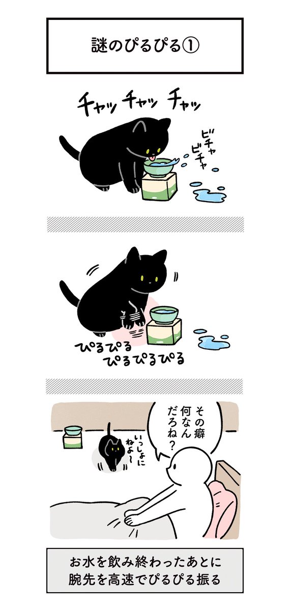 ねこ、謎の癖があるんやけど調べても解説が出てこなくてなぜ…?何なのこの行動の意味は…?って気になってしょうがないっていう謎の絵日記 #ろんの絵日記 