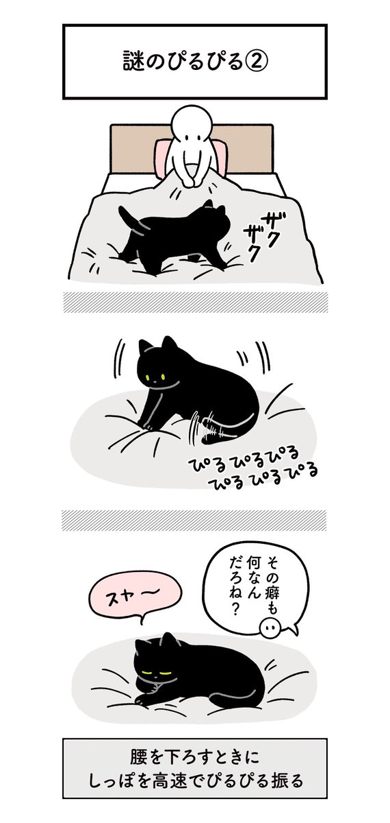 ねこ、謎の癖があるんやけど調べても解説が出てこなくてなぜ…?何なのこの行動の意味は…?って気になってしょうがないっていう謎の絵日記 #ろんの絵日記 