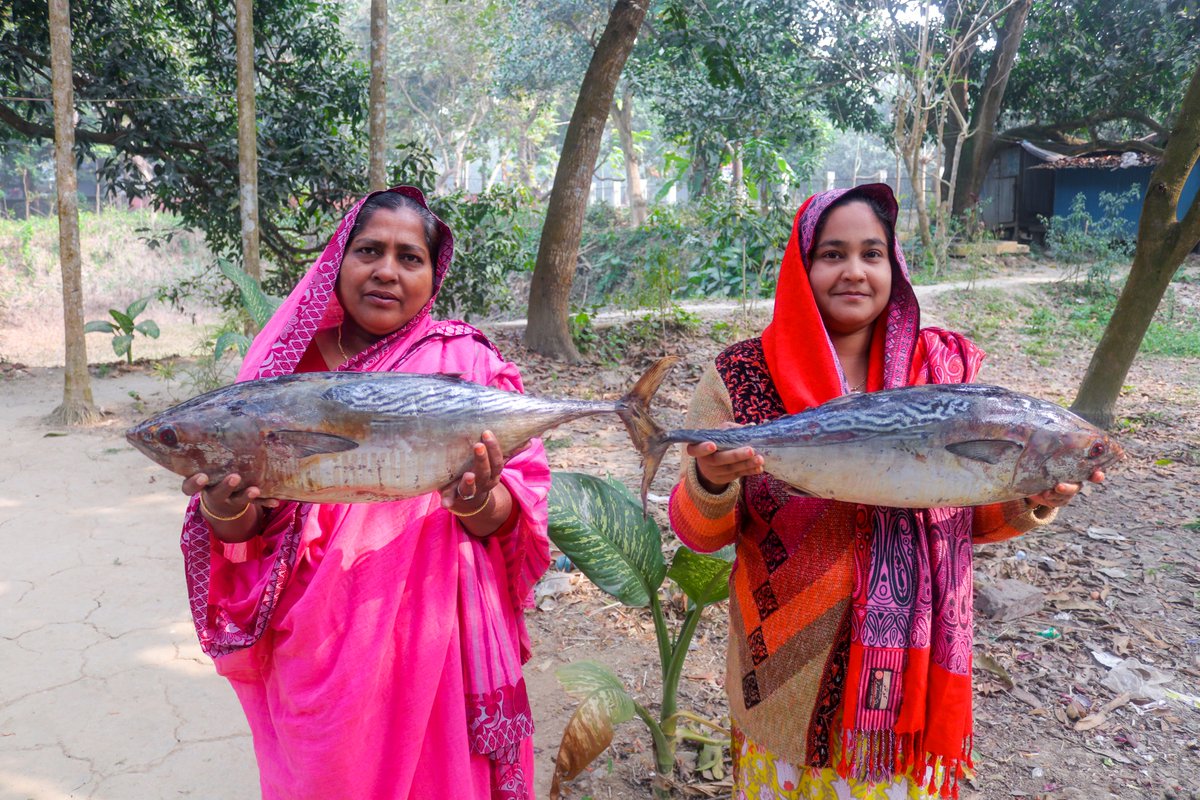 VillageFoodLife's tweet photo. Seafood Tuna Fish Gravy Cooking Recipe for Kids 

Watch Full Video: https://t.co/V3ePaWIvO3 https://t.co/1s1avSXyOc