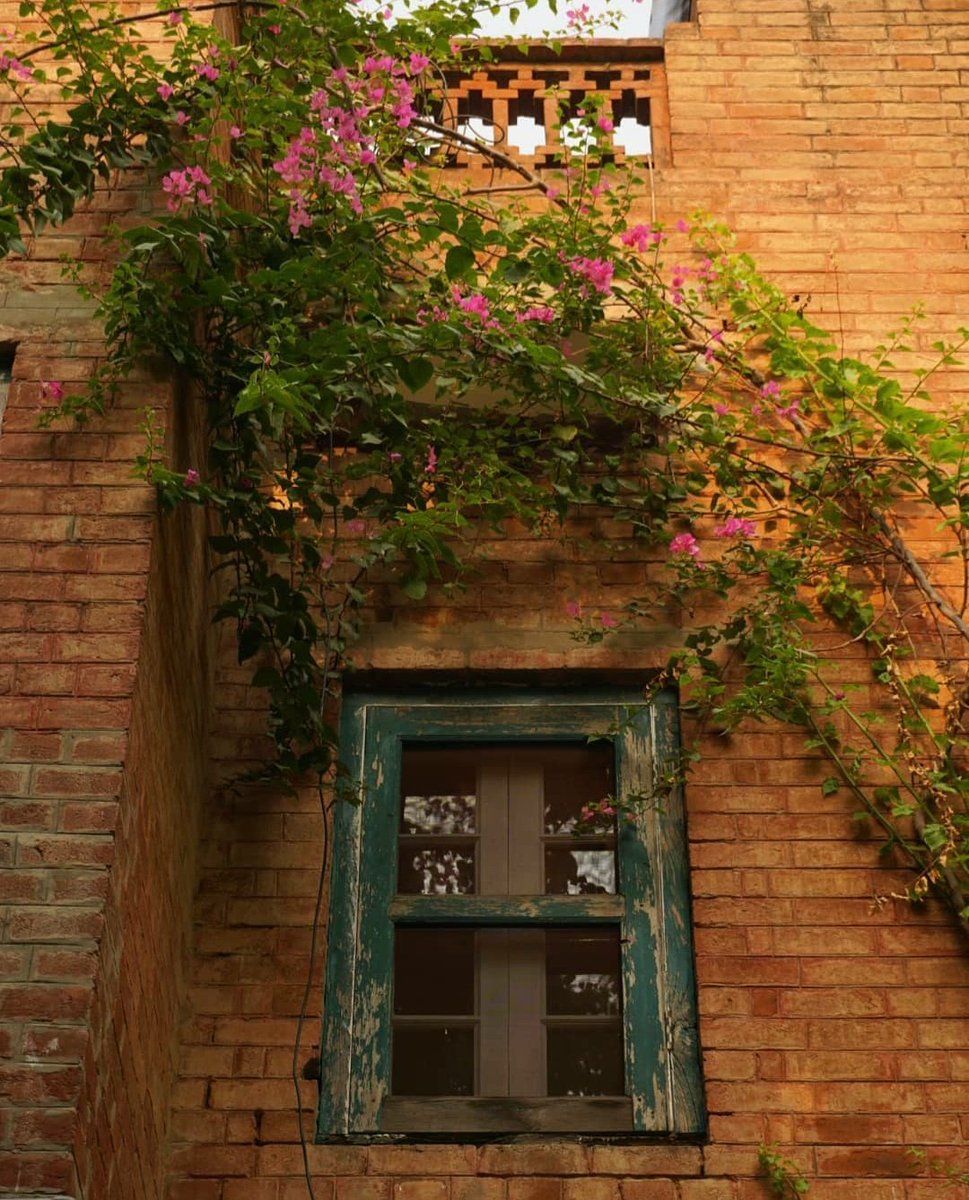 AguyfromLahore's tweet photo. Welcome to Suraj Ghar

Built in 1932, it's one of the few remaining of its kind in Model Town, despite its size and grandeur it remains hidden in plain sight. 
Suraj Ghar has seen partition, it has survived inheritance struggles and still it welcomes new friends into its fold. https://t.co/3vpXwjhpEt