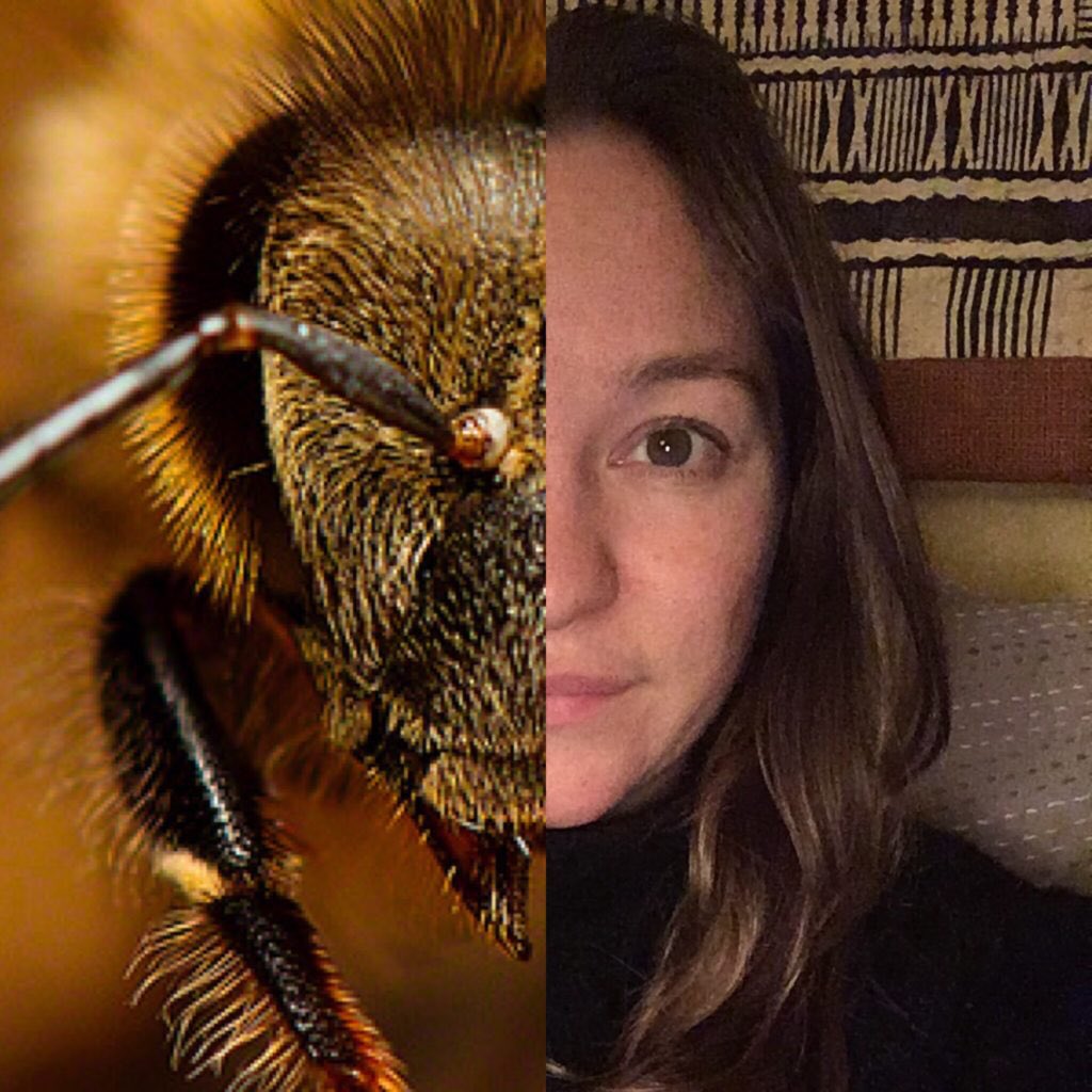 PollinatorZen's tweet image. Honey bees can recognize faces. They use the same technique humans use to analyze and recognize facial features. Researchers are studying bee facial recognition in an effort to understand and improve computerized facial recognition. #BeeSmart