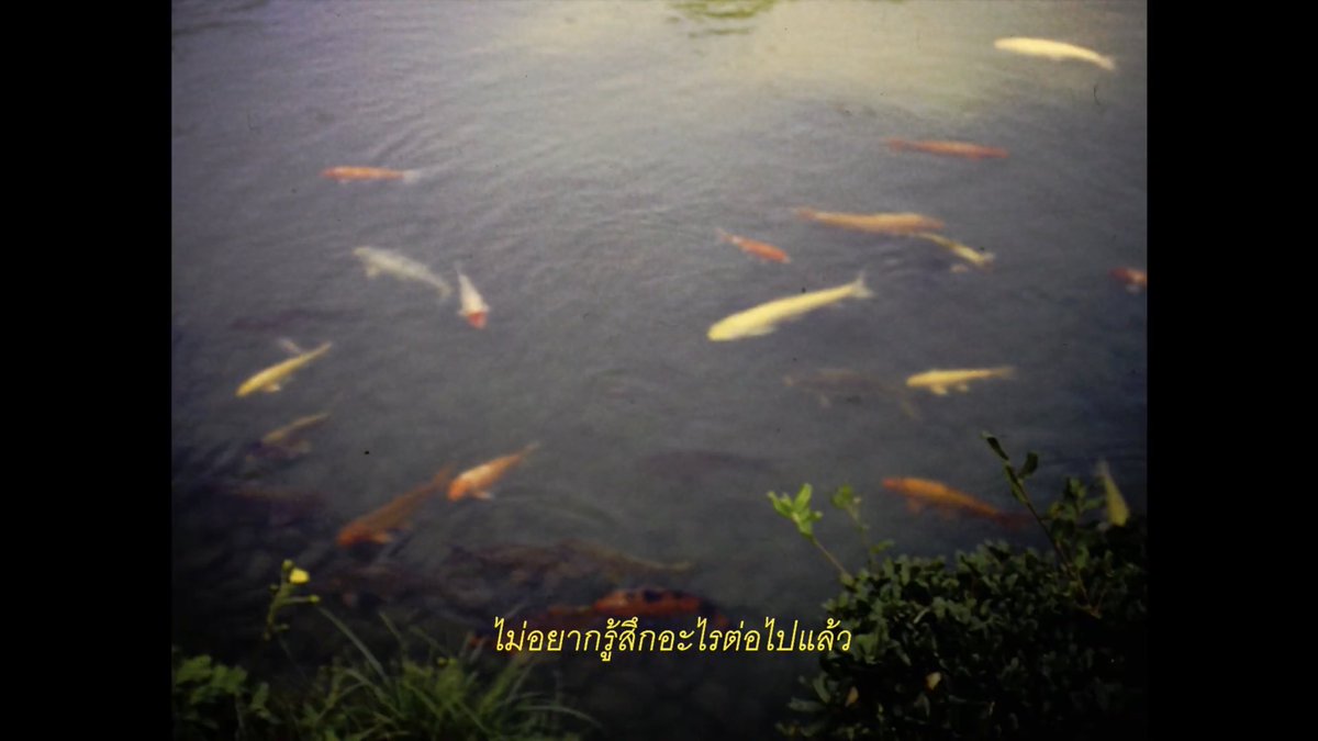 ถ้าฉันหายไป ฉันจะมีความสุขไหม