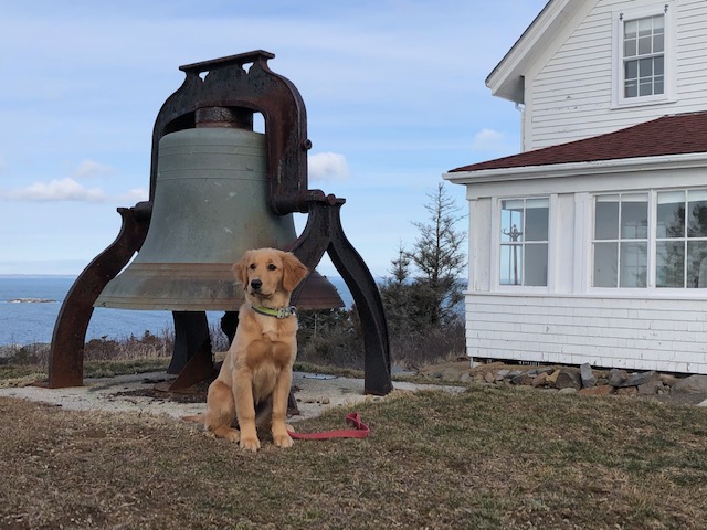 Monhegan Museum tweet media
