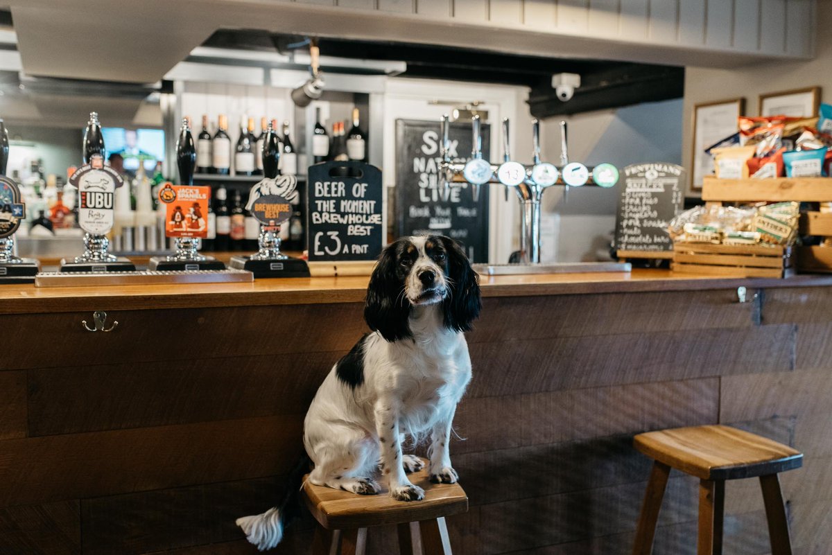 HunninghamLion's tweet photo. Before you set off on your walk around beautiful Hunningham today, place your Saturday night takeaway with us so when you return home there is no need to even think about dinner. Plenty of time to relax, keep warm and cosy and enjoy a scrummy meal #supportlocal #hunningham https://t.co/2WgRpdJyTw